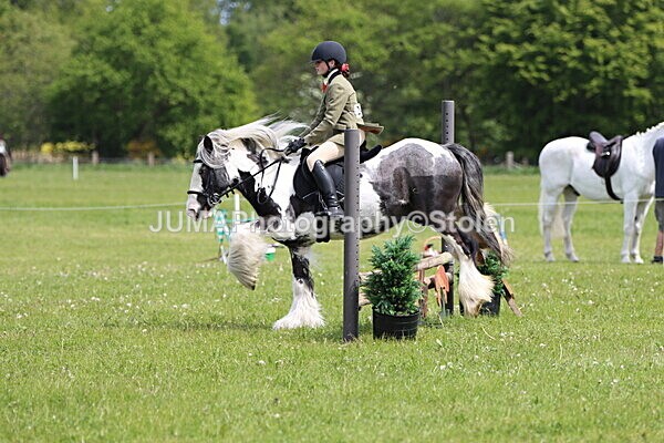 IMG_3157 - Working Hunter