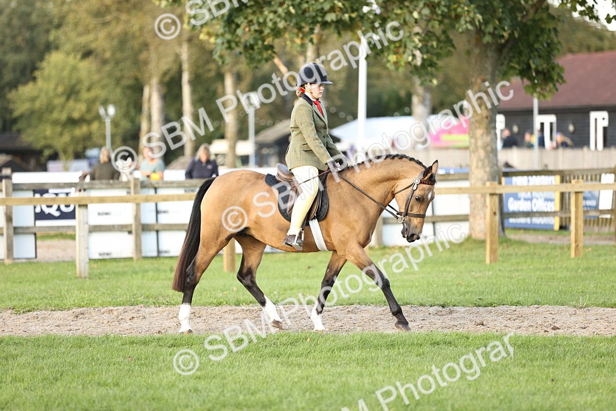 SBM_29539 - S7 - Novice & Newcomers Ridden Pony