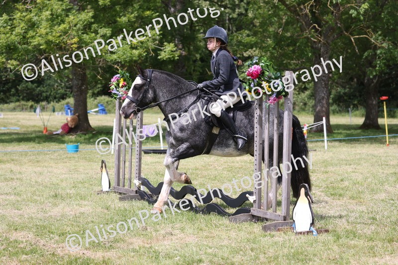 20260614-1977 - Class 21 - Novice Working Hunter Pony