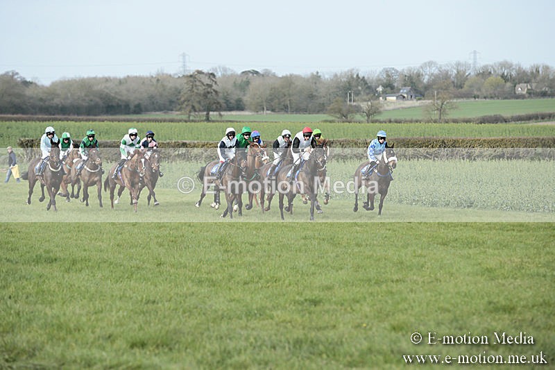 PtP 230319 404 - VWH Hunt Siddington Point-to-Point Racing 23/03/19