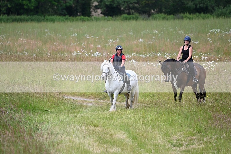 WJ6_8024 - Camera 1 Gallops