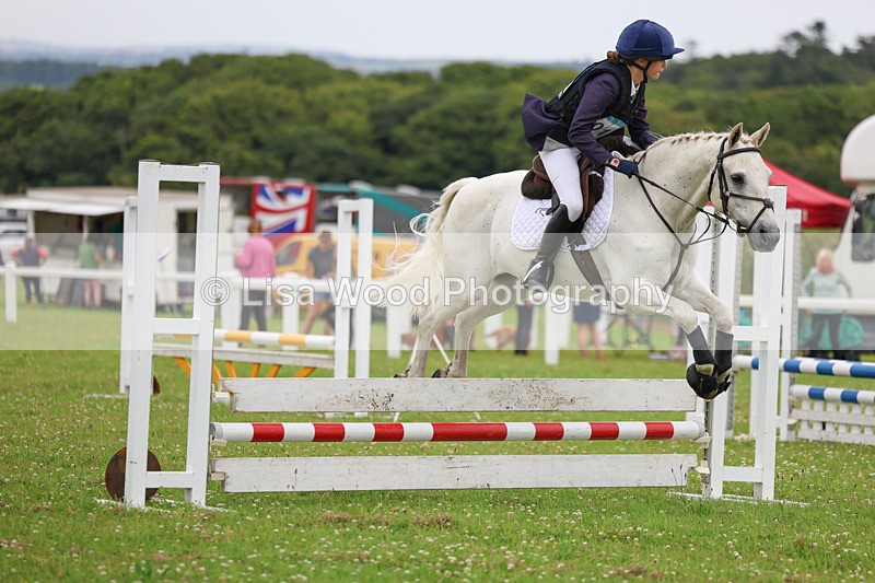 3E7A2877 - Class 1: Open 70cm (Not all Competitors)