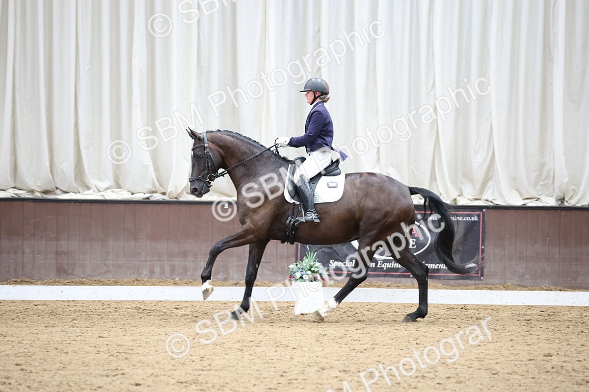 SBM_003497 - Class 5 - Novice 6 Gold - 13.05-14.00