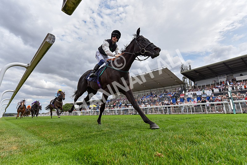 280726-Race 3-Black Velvet Boy-4353 - Race 3 14.45pm EBF Restricted Maiden Stakes
