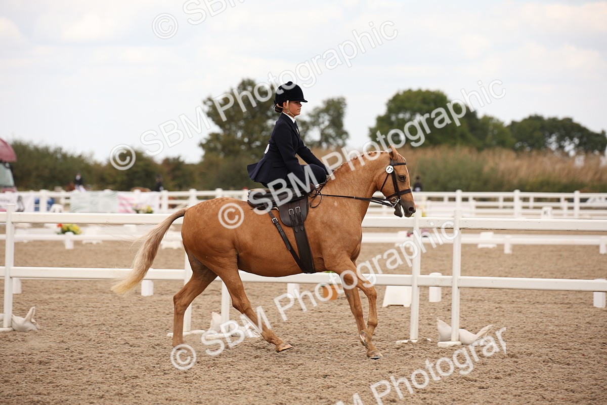 SBM_05348 - Class 22 SSA Equitation