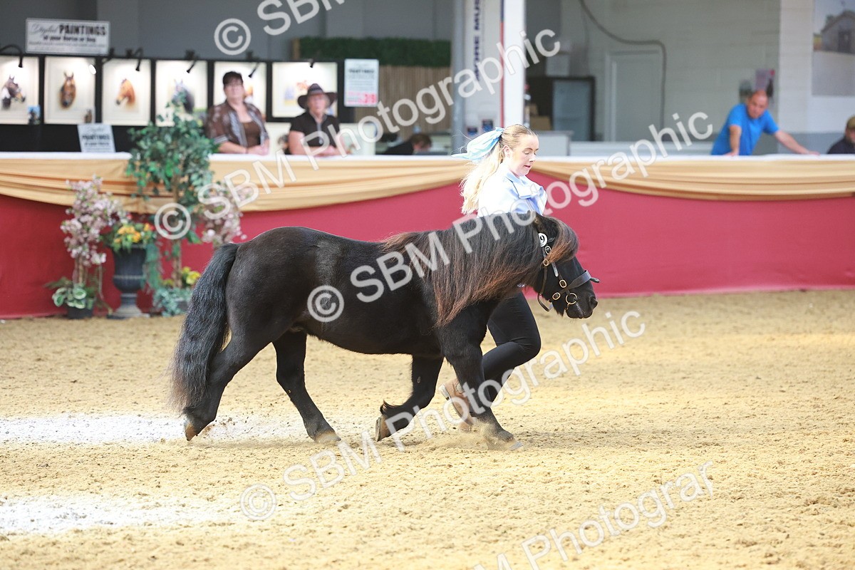 SBM_16659