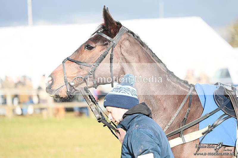 PtP 250126 251 - Cocklebarrow Races Point-to-Point 25/01/26