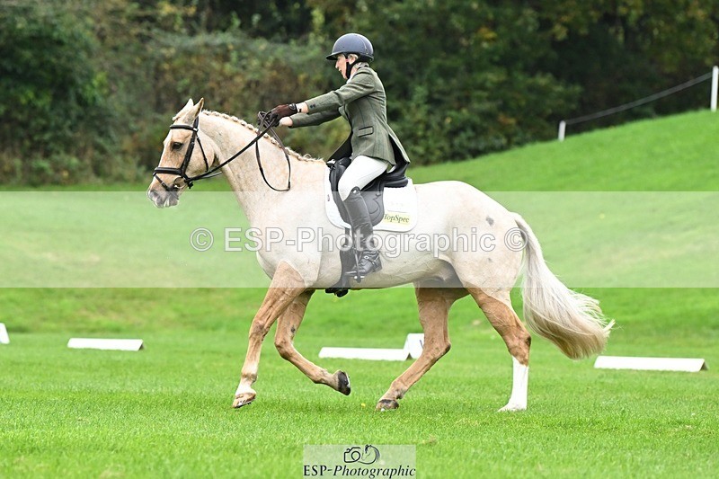 241024-125258-03550 - 519-Jane.Rogers-CORRIEVIEW.MERLIN.MAGIC