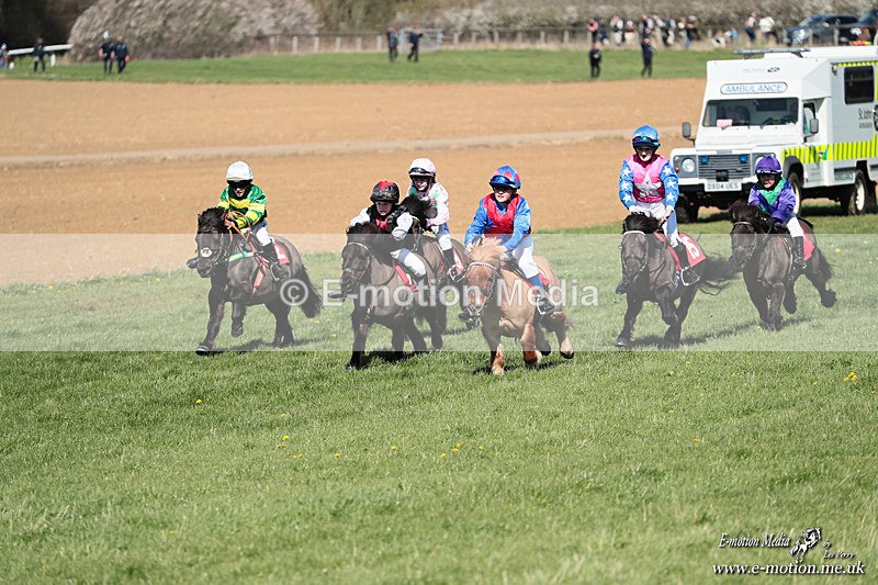 Shet 060426 250 - Shetland Pony Racing Paxford Races Easter Mon 06/04/26