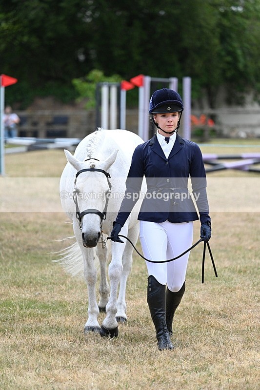 WJ7_1388 - Class 4 Prettiest Mare up to 14.2hh in hand
