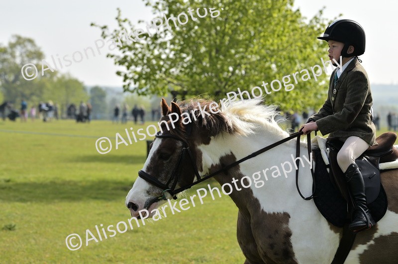 20260426-0896 - Class 18 - Novice Showing