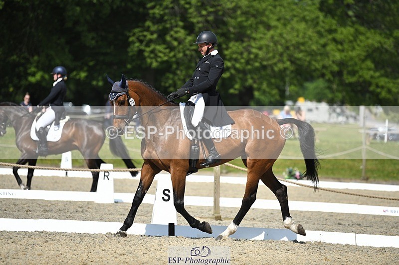 230525-102420-01703 - 312-J'ADORE_SALSA-Michael_Owen-WEDTrotUp+DR