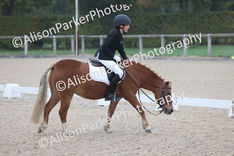 20251012-0094 - Class 1 - Prelim 5