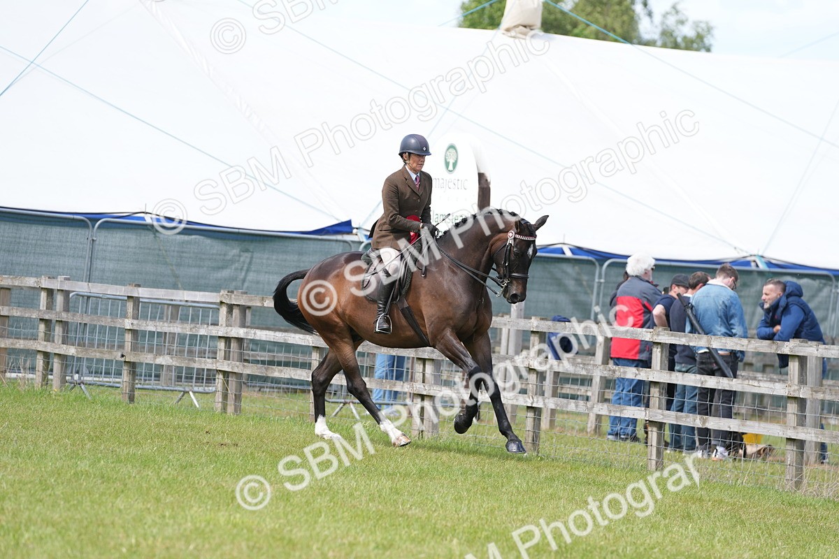SBM_16290 - Class 105-106 - RIHS Riding Horses