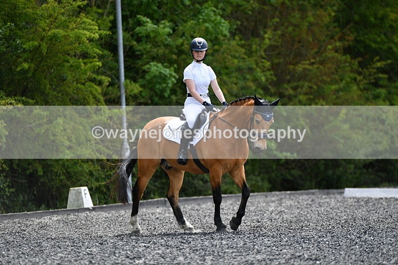 WJ5_1003 - Time 13:45 to 14:20