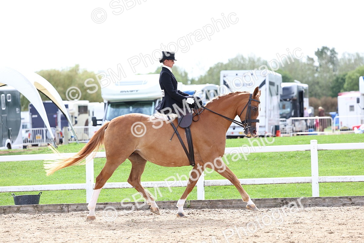 SBM_03301 - Class 23 - SSA Classical (any age)