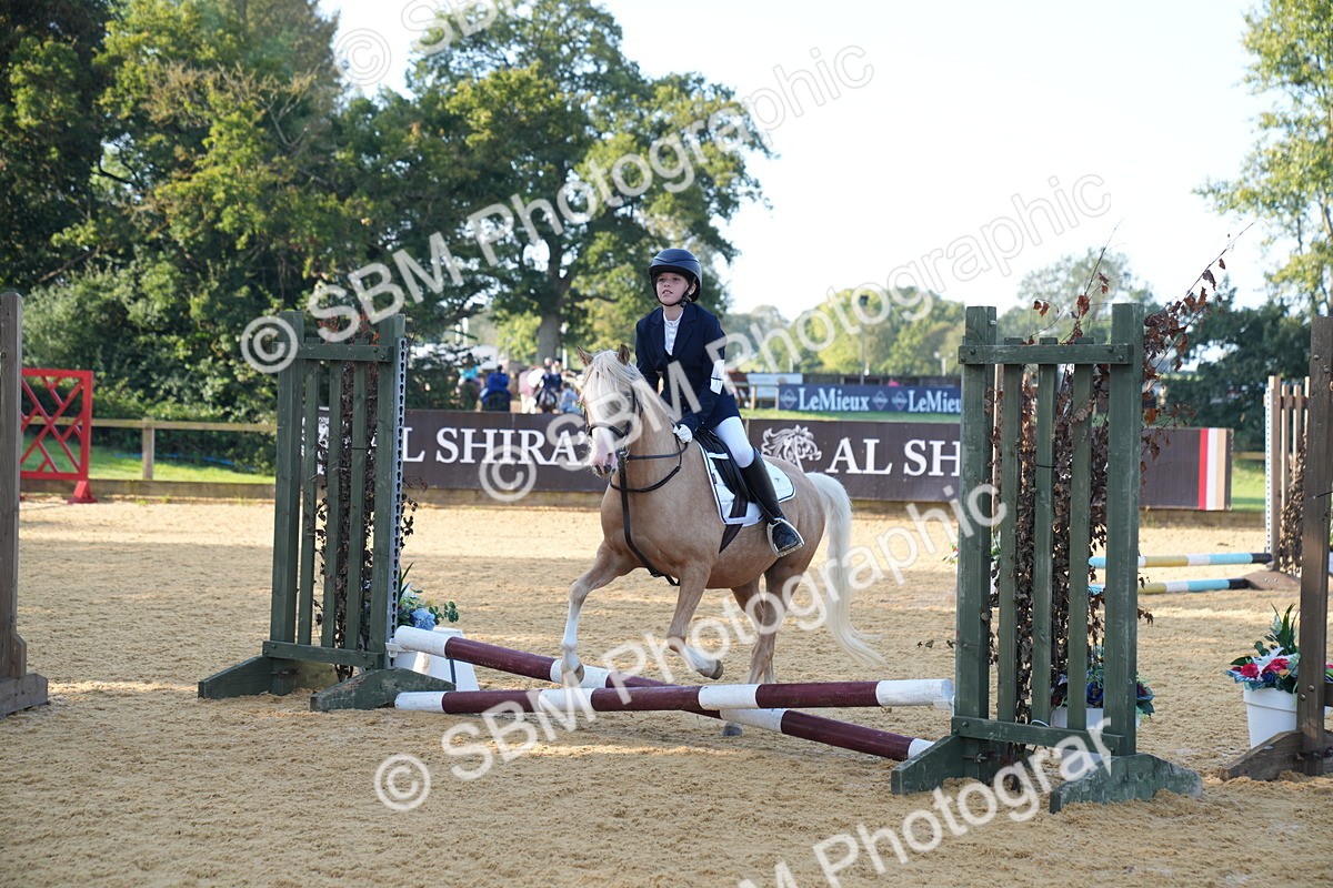 SBM_59072 - J63 - Minis Clear Round 30cm 40cm