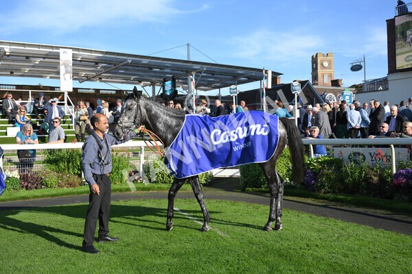 yr08102021r3-48 - Race 3 3.15pm Download The Casumo App Today Handicap