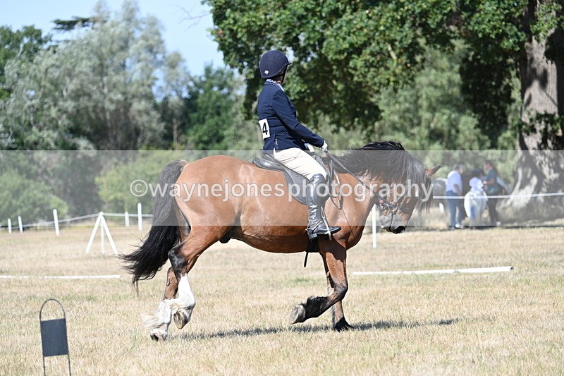 WJ7_0799 - Time 12:03 to 12:23