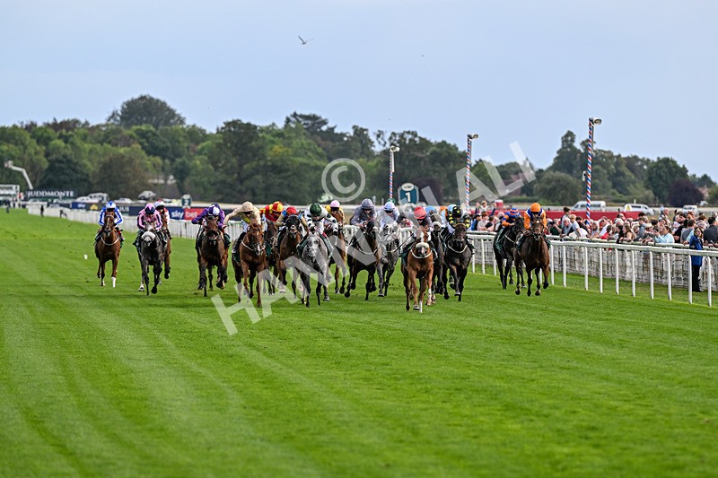 190826-Race 6-Miss Yechance-1585 - Race 6 16.45pm Irish Thoroughbred Marketing Handicap