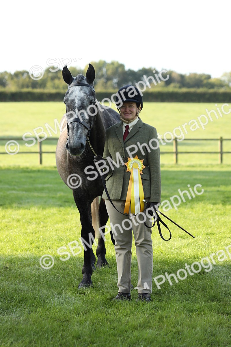 SBM_57987 - S42 - Youngstock