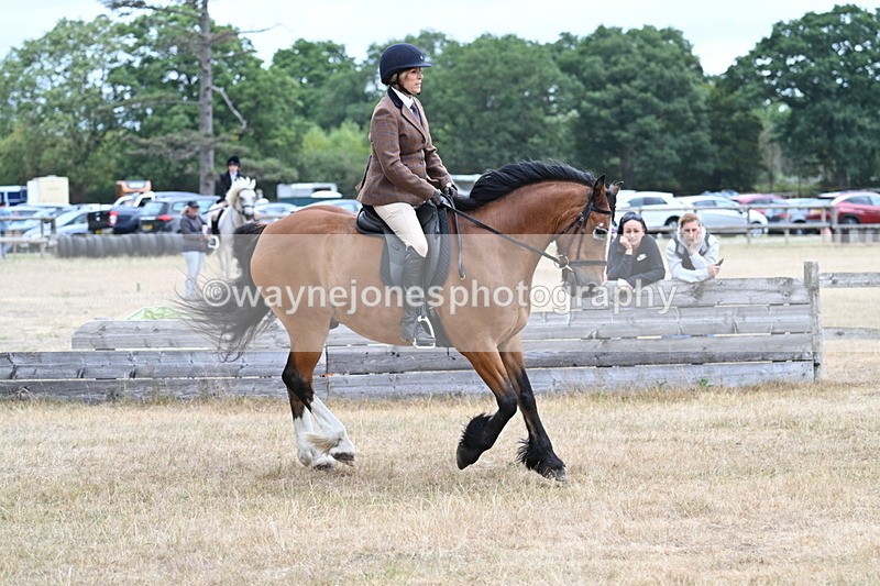 WJ7_0552 - Class 6 Ridden Mountain and Moorland