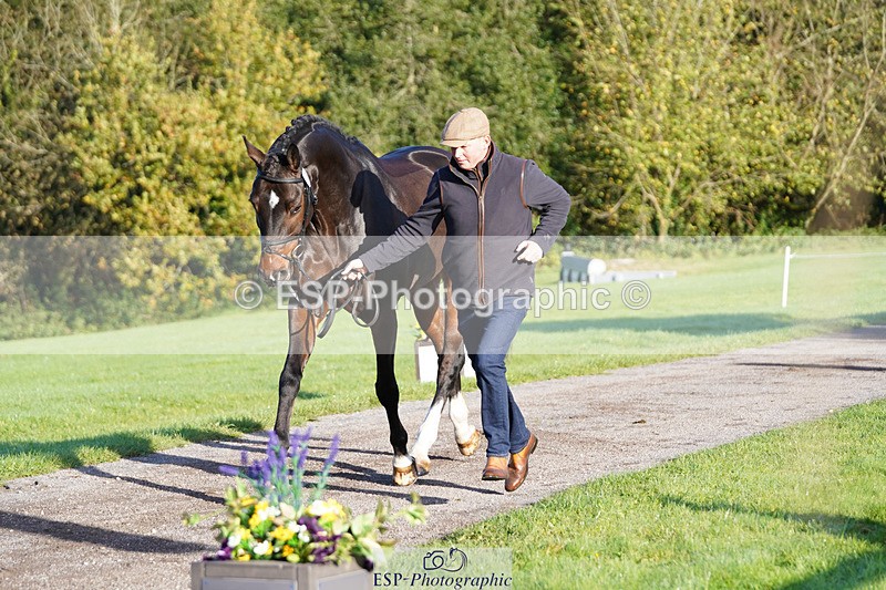 241026-100212-11557 - 005-Matthew.Heath-DIEGOS.ROSE