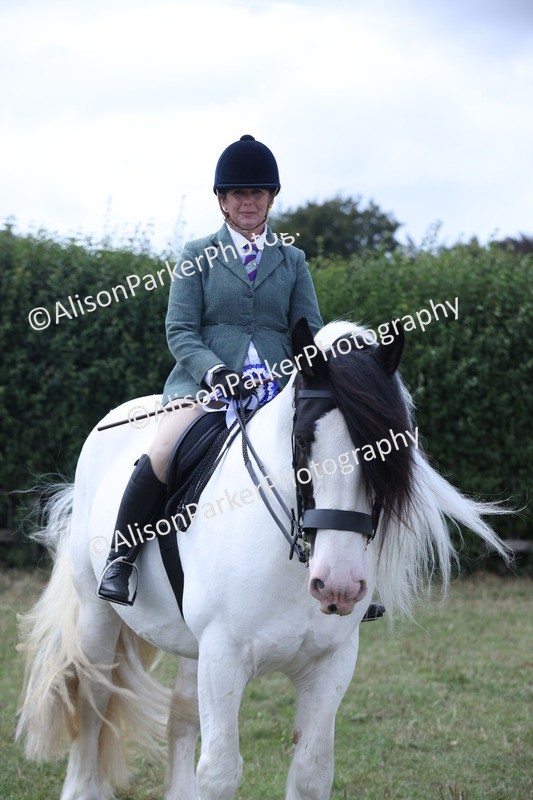 20250831-4352 - Class 20 - Ridden Coloured