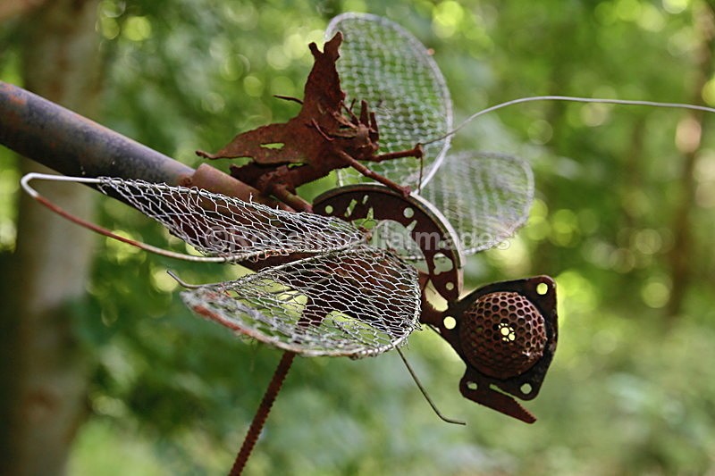  - Elemental Sculpture Park