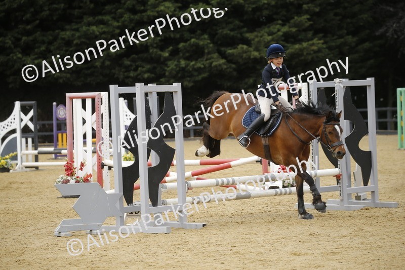 20250622-5822 - 60cm