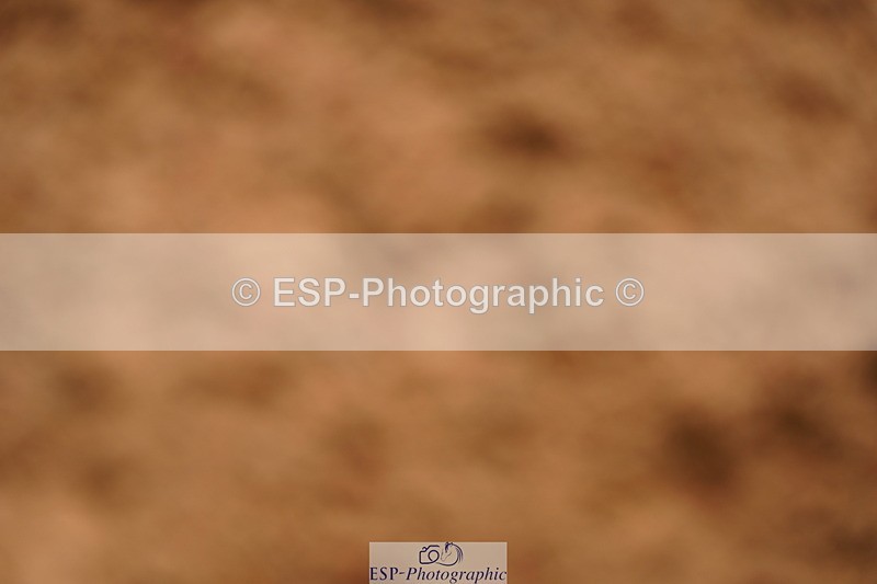 240526A-105330-07668 - Cls 26 Chard Equ 1.05m and 1.10m Grand Prix