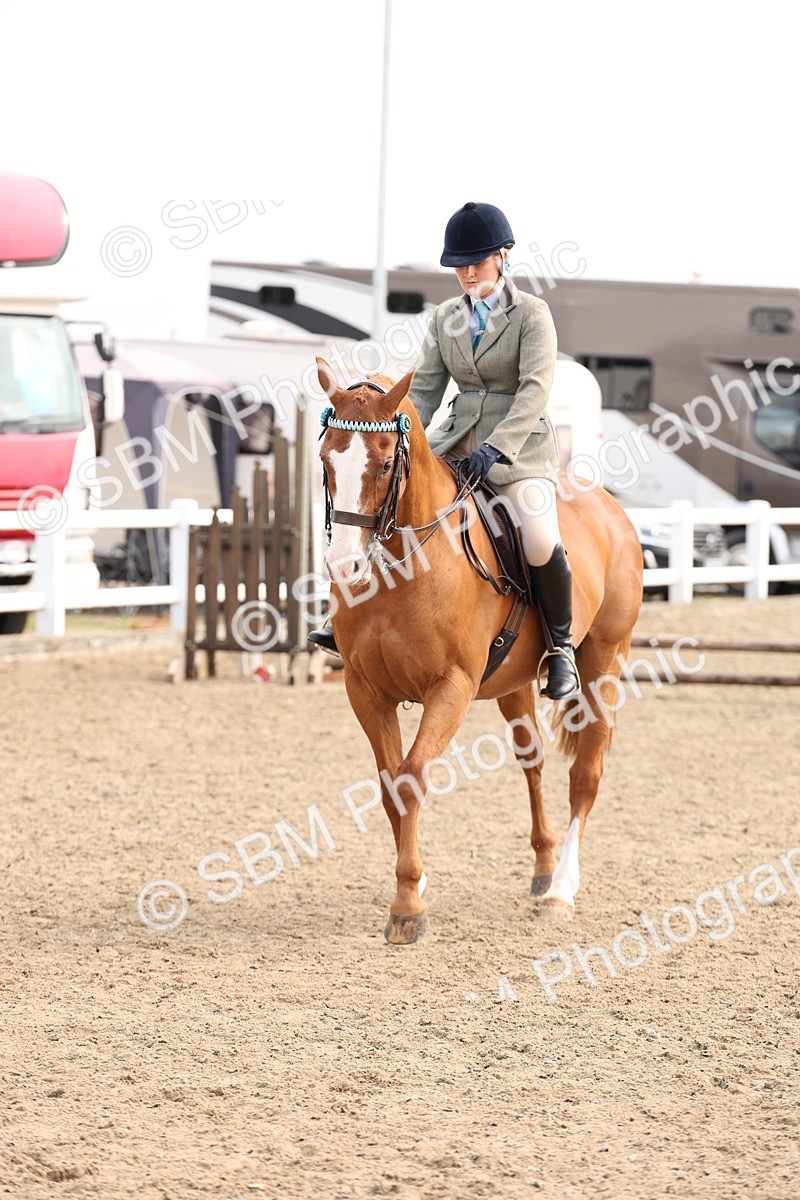 SBM_04257 - Class 54 - Riding Club Horse/Pony