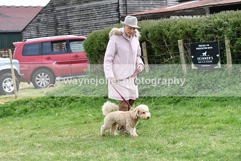 WJ5_9142 - Class 1 Best Cross Breed / Heniz 57