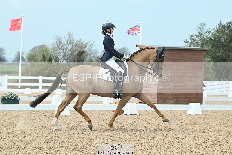 250403-123558-02381 - 061-Violet.Hawkins-DZL.Royal.Sunrise