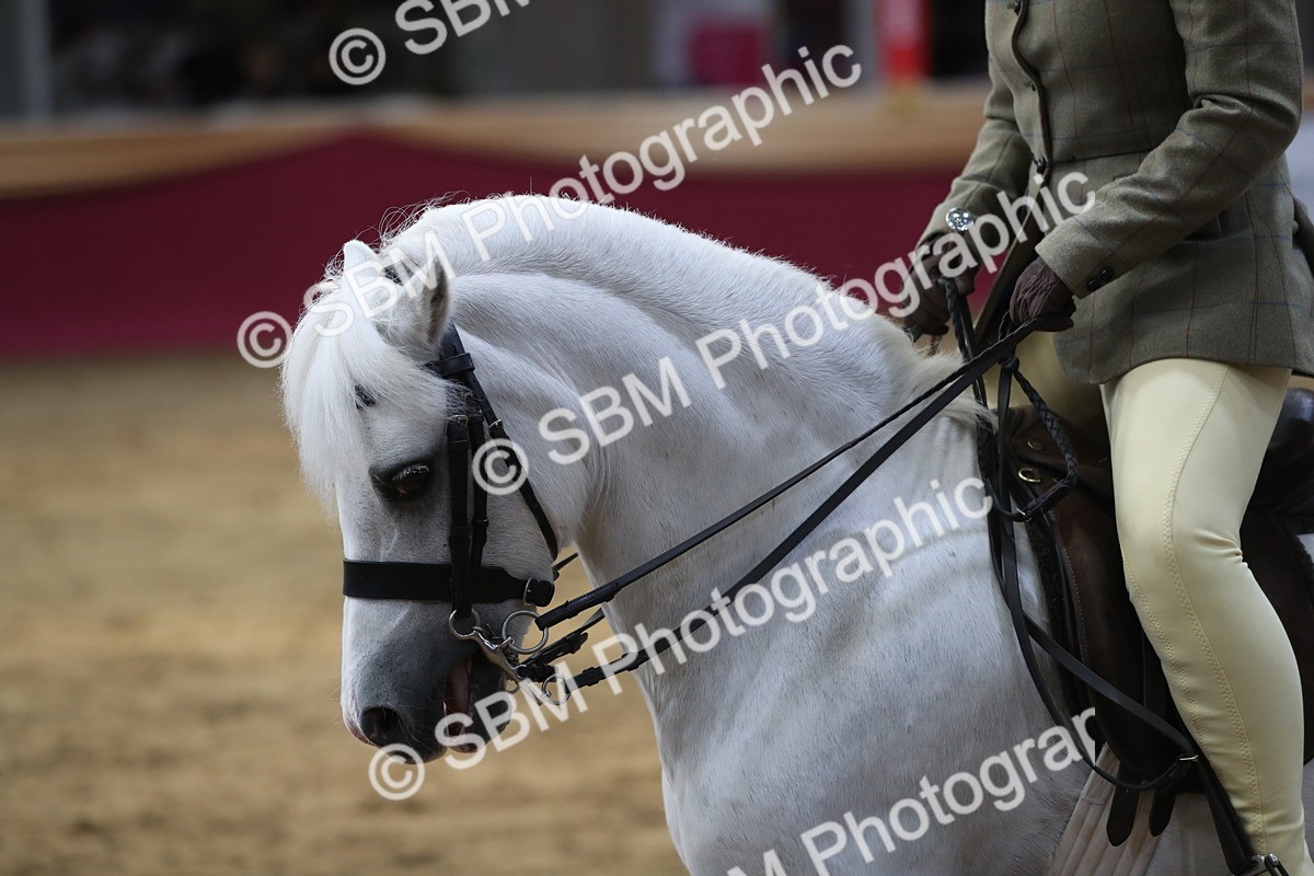 SBM_08404 - Class 11R Regional Ridden Veteran