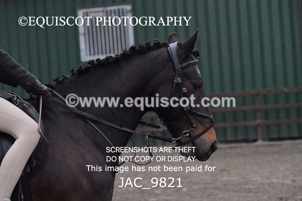 JAC_9821 - CLASS 2 Novice Working Hunter (0.60m - 0.70m)