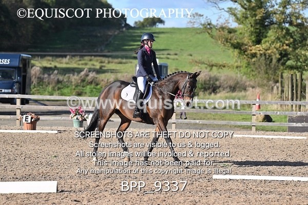 BPP_9337 - SHORT ARENA