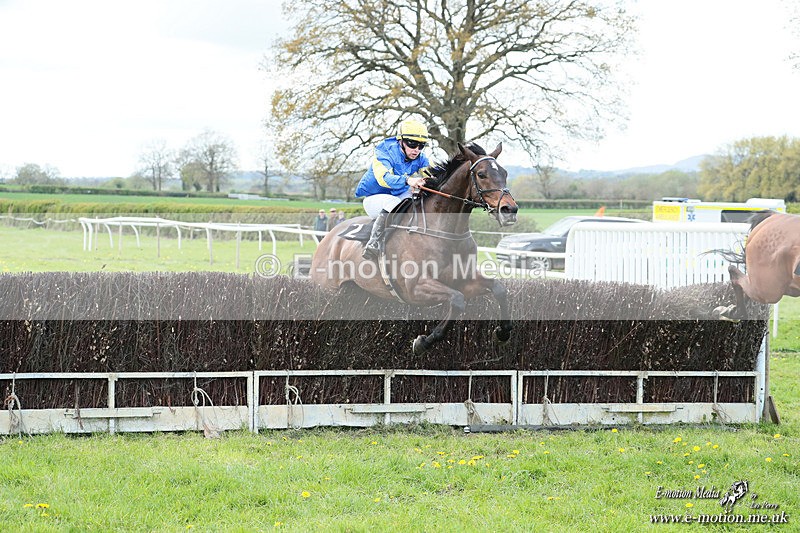 PtP 180426 122 - Worcestershire Hunt PtP Chaddesley Corbett 18/04/26