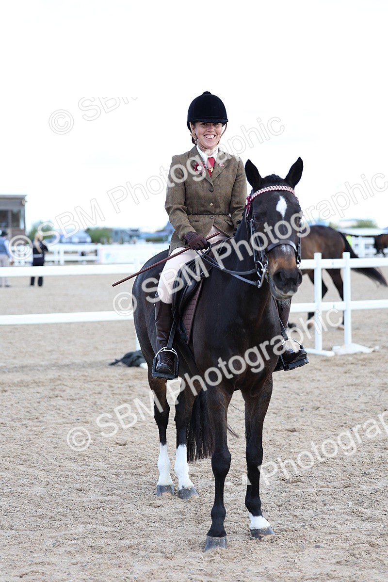 SBM_11217 - Class 306 - Ridden Foreign Breeds - Part Bred