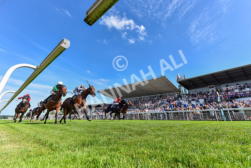 300526-Race 5-Glenfinnan-9266 - Race 5 16.00pm Happy Birthday Colin 'Spud' Stamford Handicap