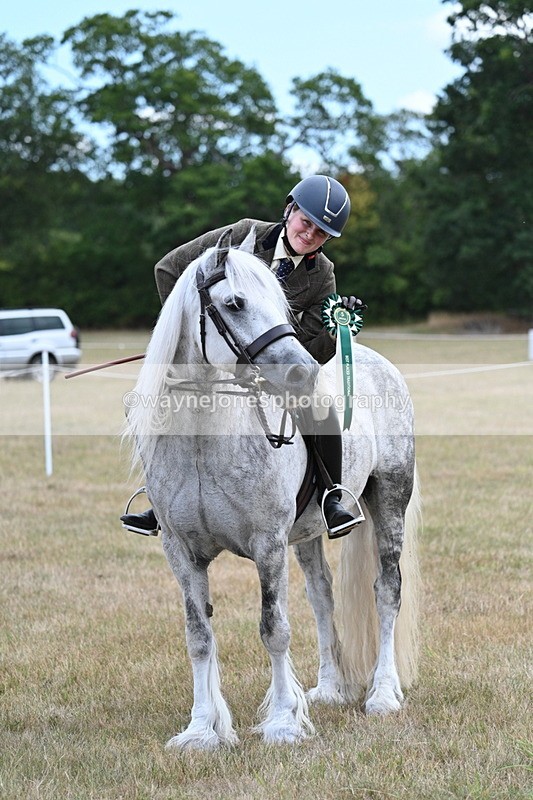 WJ7_5716 - Class 12 Ridden Cob