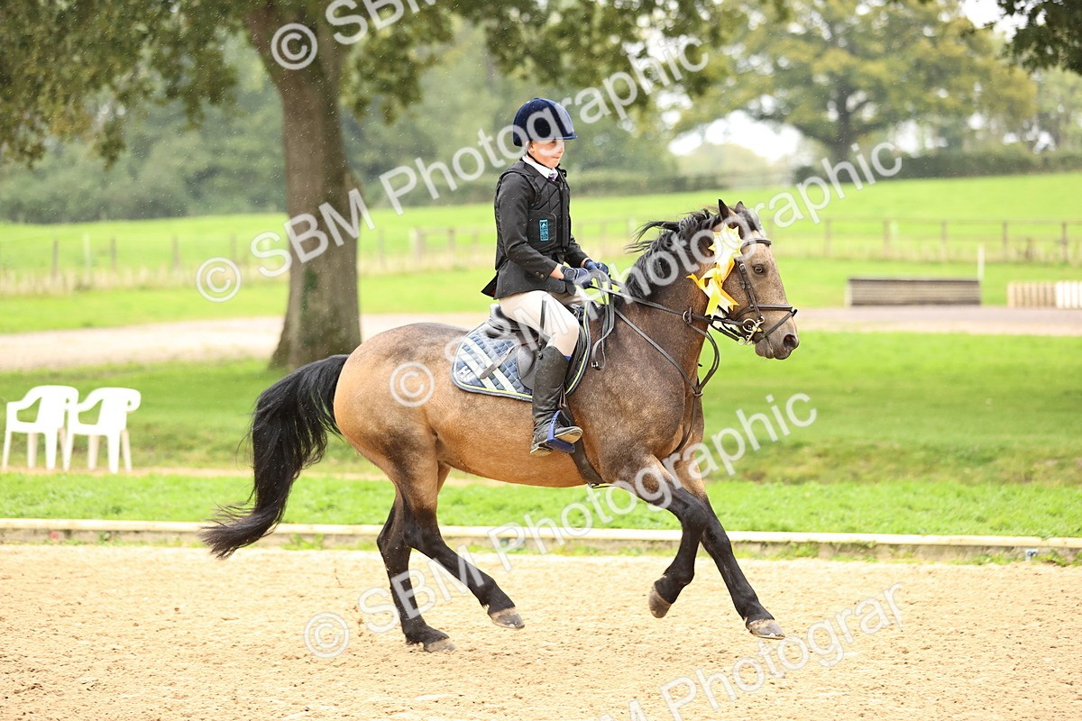 SBM_69060 - J18 - Junior Pony 85cm championship