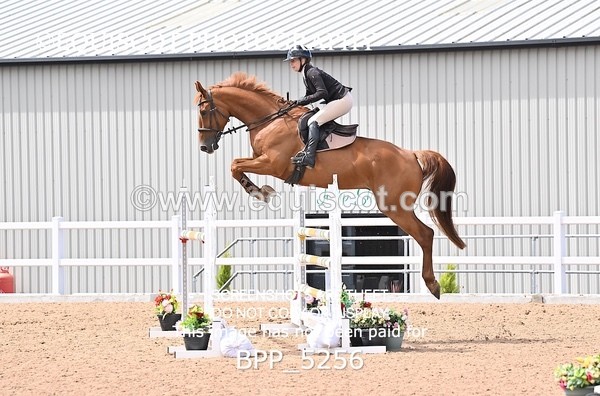 BPP_5256 - CLASS 8 THURS HOYS GFS Saddles Senior Newcomers Second Round