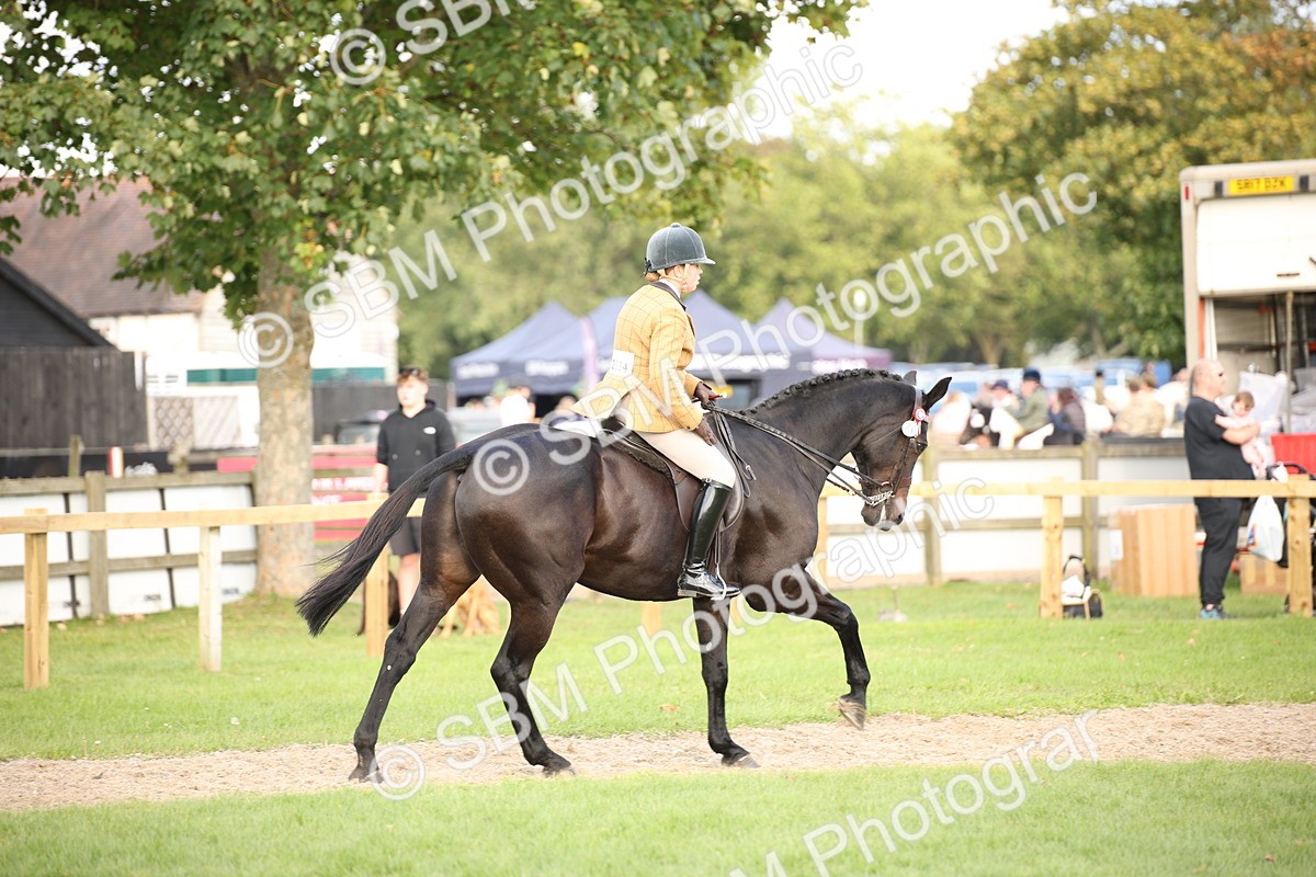 SBM_50229 - S26 - Young Veteran - Ridden