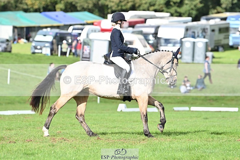 231020-141751-10871 - 664-TEMPLEMORE.WILD.ONE-Bella.Stevens-DR