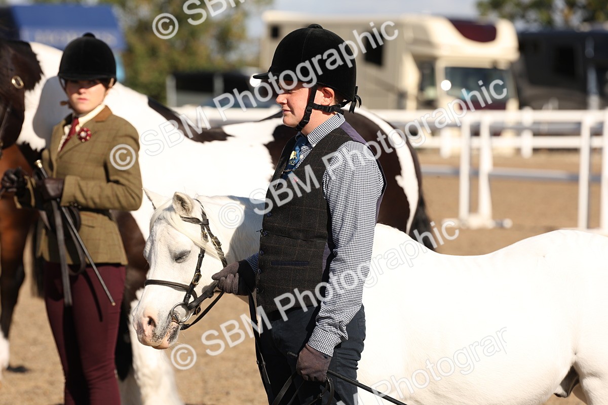 SBM_11755 - Class 204 - Young Handler 11 to 16 years
