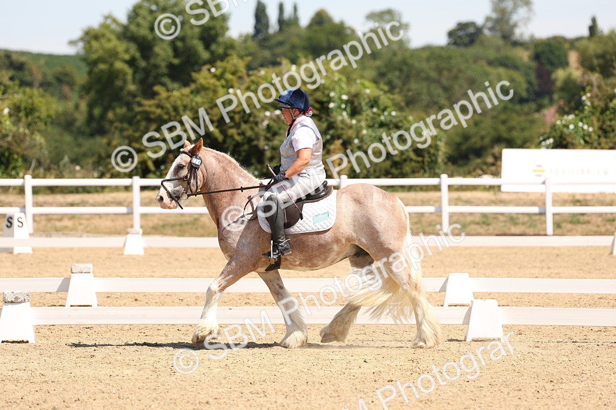 SBM_001278 - Intro 2