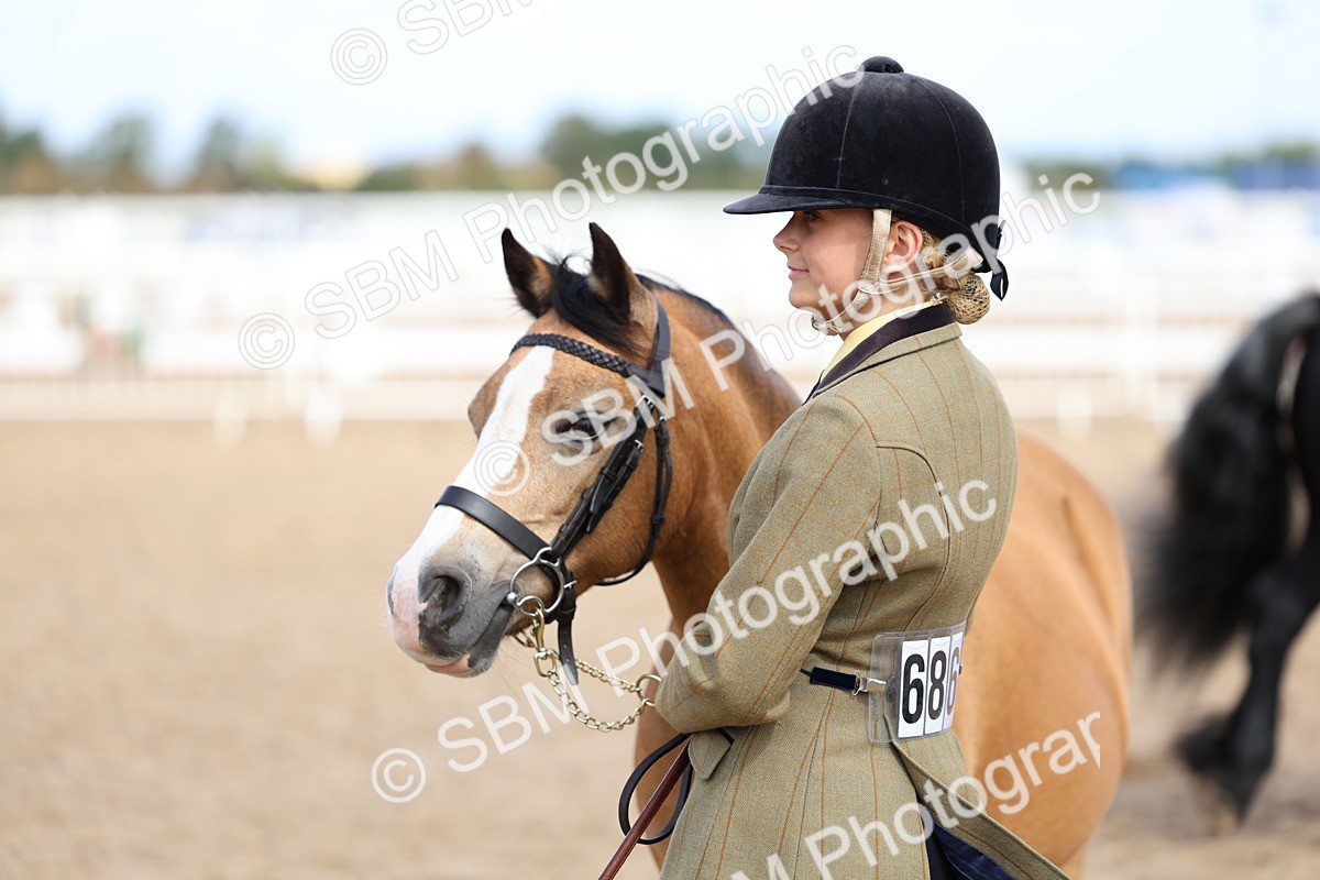 SBM_02394 - Class 19 - Horse or Pony Judge would most like to take home