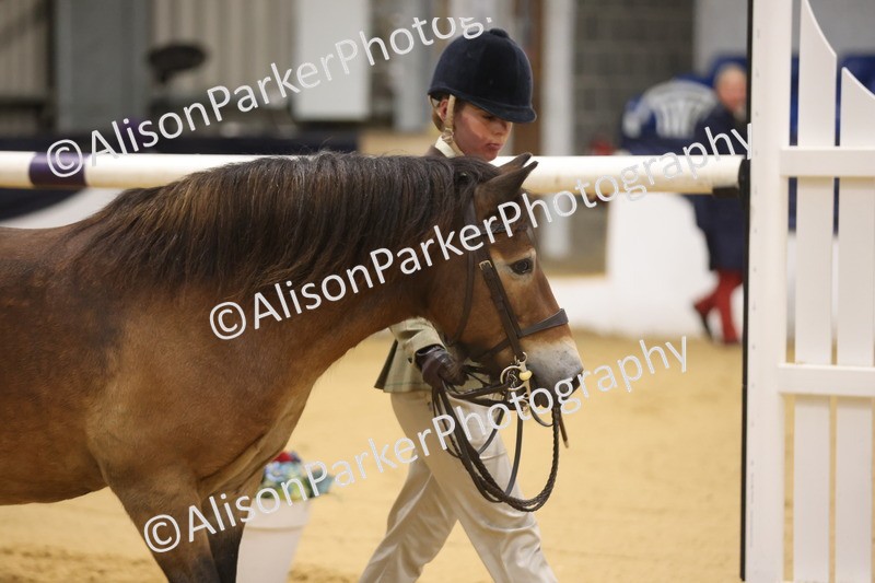 20260913-1005 - Class 109 - Bred On Exmoor In Hand