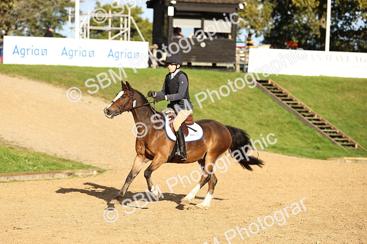 SBM_51821 - J10 - Junior Pony 75cm Championship